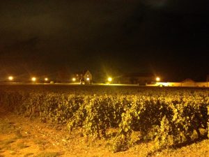 Vineyard on the edge of Meursault at Night