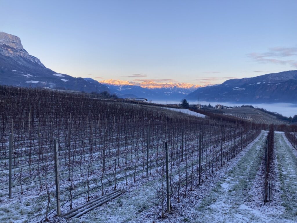 Winter morning, Girlan, Eppan an der Weinstraße, Südtirol, Italy